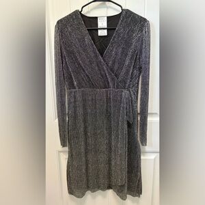Serra Shimmering Silver Metallic Front Wrap Long Sleeve Dress. Size Small.